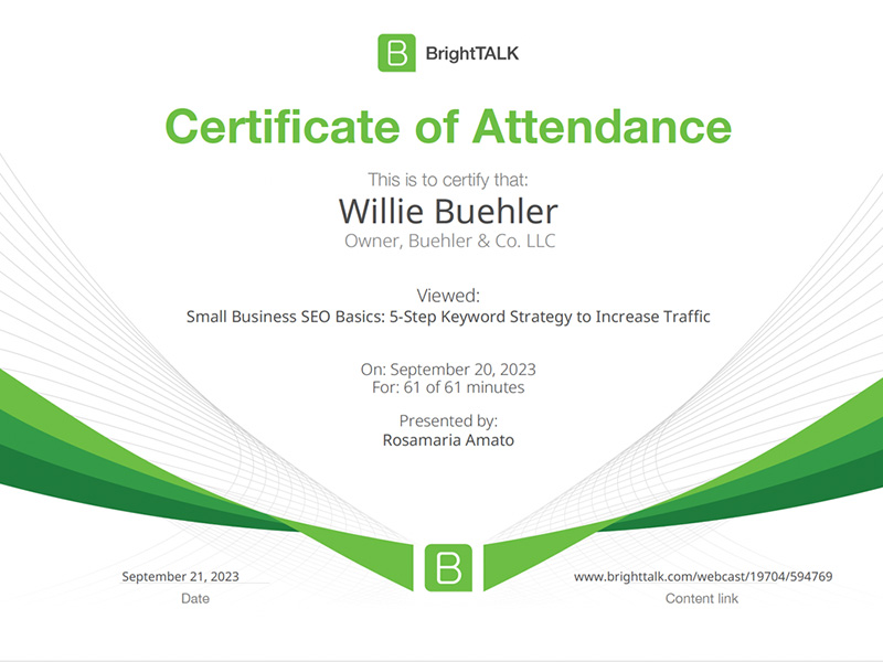 BrightTALK - Small Business SEO